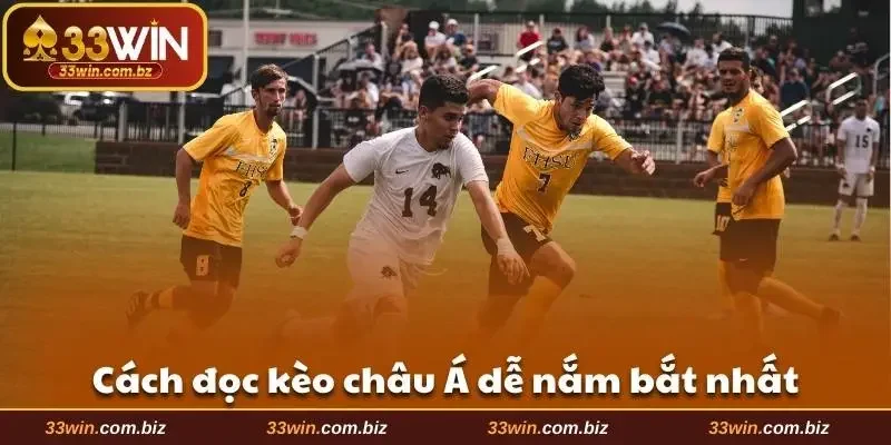 Cách đọc kèo châu Á dễ nắm bắt nhất