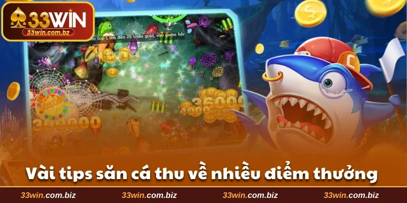 Vài tips săn cá bất bại thu nhiều điểm thưởng