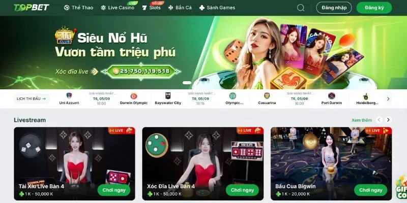 Tổng quan về thương hiệu cược online Topbet